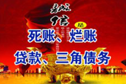 金湖追钱公司